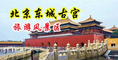 骚黑丝扣逼中国北京-东城古宫旅游风景区